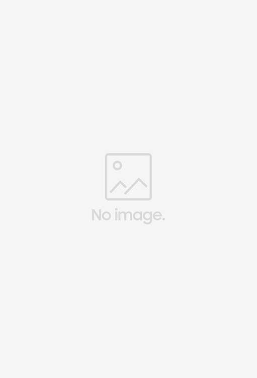 rodeo handbag medium